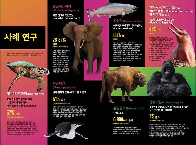 세계자연기금(WWF) 지구생명보고서 내용 중 일부. WWF 제공