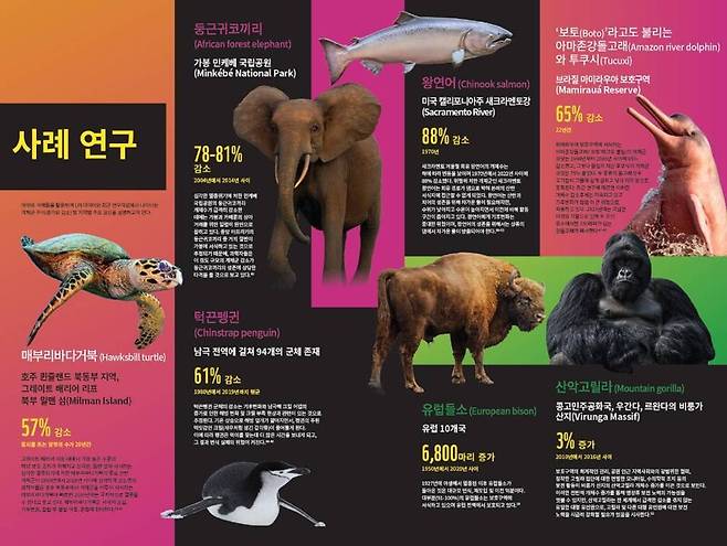 ‘지구생명지수’ 데이터와 최근 연구자료에서 나타나는 개체군 추이, 생물 종 현황. 세계자연기금 제공