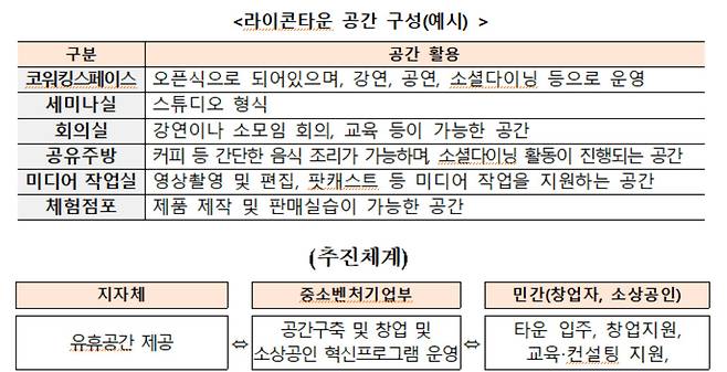 라이콘타운 공간구성과 추진체계.