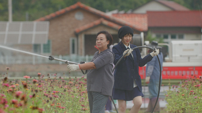 사진=KBS 2TV ‘박원숙의 같이 삽시다’ 제공