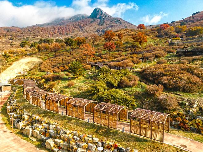 산청 황매산 무장애길