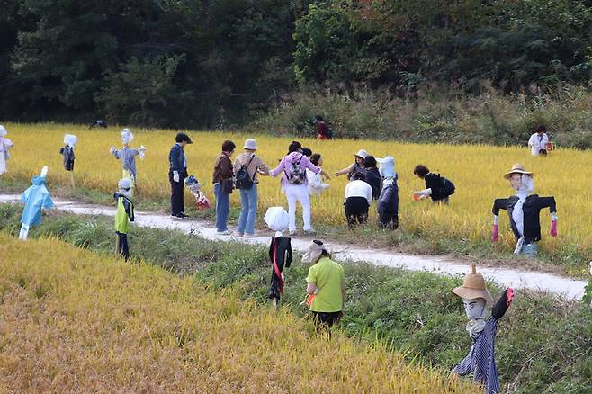 [산청=뉴시스] 서희원 기자= 경남 산청군 차황면에서 산청군농협 제28회 산청메뚜기쌀 축제를 개최했다. 2024. 10. 11. shw1881@newsis.com *재판매 및 DB 금지