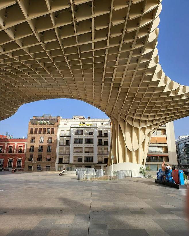 세비야의 버섯&nbsp; &nbsp;필자 제공