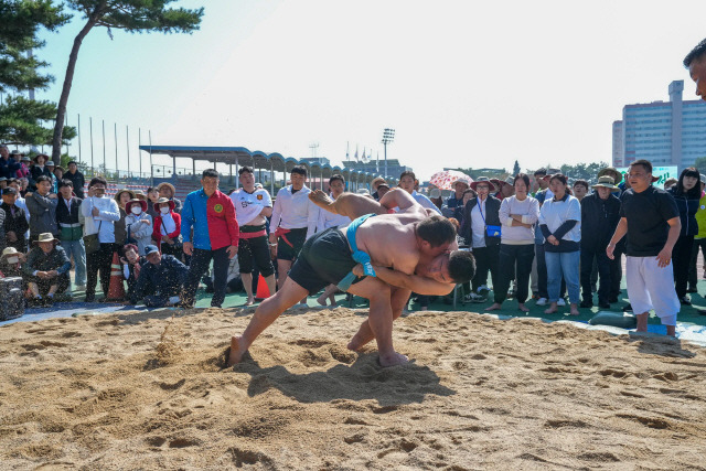 ▲ 양구지역 민관군 화합의 대축제인 제39회 양록제가 이틀간의 일정을 모두 마치고 12일 폐막했다.