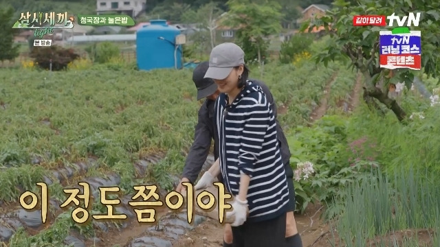 tvN ‘삼시세끼 Light’ 캡처