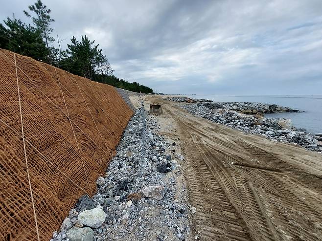 해안 침식이 심각한 강릉 안인·하시동 사구 [촬영 류호준]