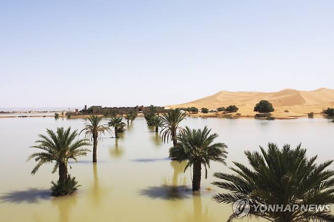 모로코 남동부 라치디아 인근의 소도시에 폭우가 내리면서 야자수가 물에 잠긴 모습 [AP 연합뉴스. 재판매 및 DB 금지]