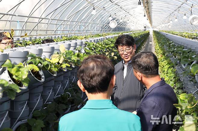 [세종=뉴시스]권재한 농촌진흥청장은 지난 4일 경북지역 딸기 주산지인 고령군을 찾아 딸기 우량묘 공급과 생산성 향상을 위한 재배시설을 점검했다. 농촌진흥청은 지자체의 딸기 우량 묘 생산·보급 기반 구축을 지원할 계획이다.(사진=농진청 제공)