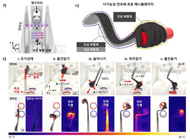 그림에서 (가)는 로봇 매니퓰레이터를 제어하는 자기장 제어 시스템 모식도,(나)는 기능성 연속체 로봇 매니퓰레이터의 구조 모식도, (다)는로봇 매니퓰레이터의 복잡하고 연속적인 작동 동작을 수행하는 것을 보여준다.