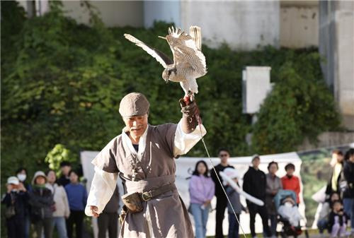 지난해 응봉 매사냥 축제 2023년 응봉 매사냥 축제에서 무형문화재 박용순 응사가 매사냥을 시연하는 모습
[성동구 제공. 재판매 및 DB 금지]