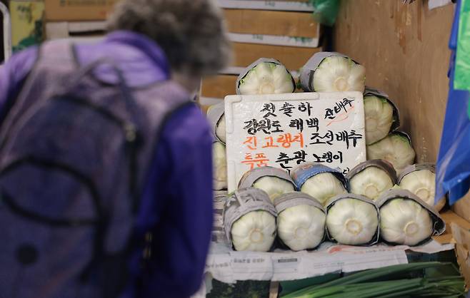 15일 서울 마포농수산물시장에 배추가 진열돼 있다./연합뉴스 제공