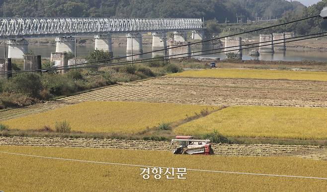 북한이 경의선과 동해선 남북 연결 도로를 폭파한 다음날인 16일 경의선 철도가 지나는 경기 파주시 임진각 부근 민간인 통제구역에 추수가 한창이다. 뒤로 보이는 교각은 옛 경의선 구조물로 6·25전쟁으로 파괴됐고 남북 단절의 상징으로 여겨진다. 김창길 기자