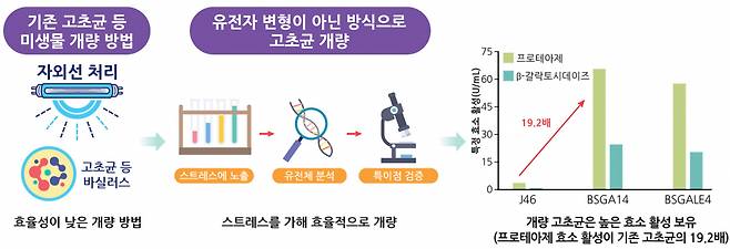 고초균의 개량 방법과 장점.[한국식품연구원 제공]