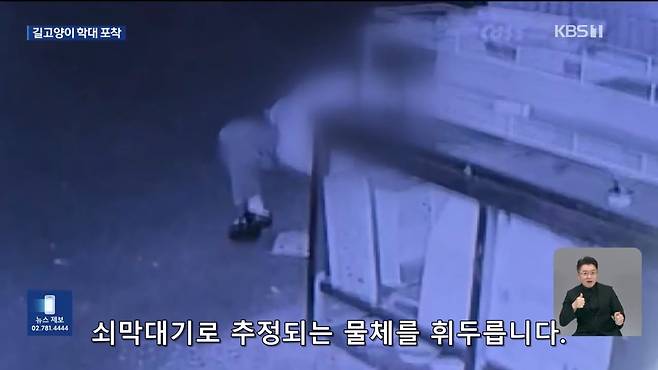 Internet_20241017_004922_5.jpeg ‘시각장애 묘’ 때리고 아기 고양이 납치…CCTV에 학대 포착