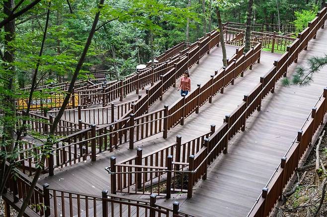 천안 태조산 산림레포츠단지에 조성된 무장애나눔길