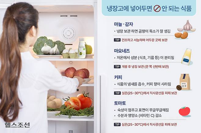 마요네즈, 토마토 등 일부 식품은 냉장 보관시 품질이 떨어질 수 있다./그래픽=김남희