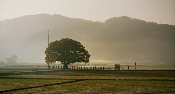 영화 '장손'이 "아카이빙 하듯"(오정민) 담아낸 전통 장례 풍경. 다양한 세대, 성별의 베테랑 배우들도 전통적 가족사에 대한 기록에 큰 역할을 했다. 최고령 손숙부터 막내 강승호까지 대부분 경상도 출신으로, 캐스팅만 2년 걸렸다. 모든 배우가 6개월간 이 영화만 전념하며 진짜 가족 앙상블을 빚어냈다. 사진 인디스토리