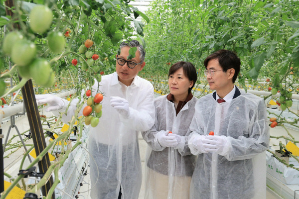 17일 송미령 농림축산식품부 장관(가운데)이 부산의 대한제강 신평공장 내에 설치된 스파트팜 내부를 둘러보고 있다. 왼쪽은 오치훈 대한제강 회장. 오른쪽은 조경태 국회의원. 농식품부 제공