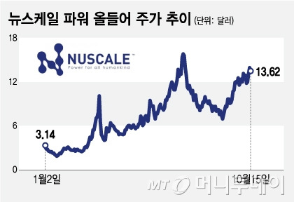 뉴스케일 파워 올들어 주가 추이/그래픽=김지영