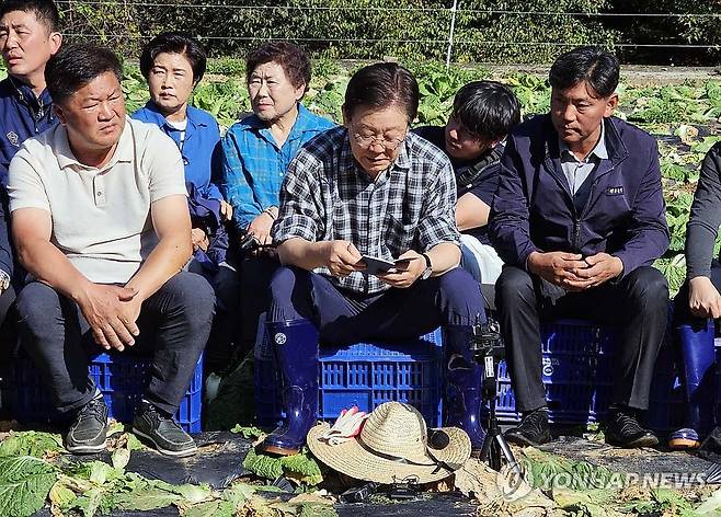 농민들 배추 작황 듣는 이재명 대표 (평창=연합뉴스) 이재현 기자 = 17일 오후 더불어민주당 이재명 대표가 강원 평창군 방림면 배추밭을 찾아 농민들에게서 작황 등 애로사항을 듣고 있다.  2024.10.17 jlee@yna.co.kr