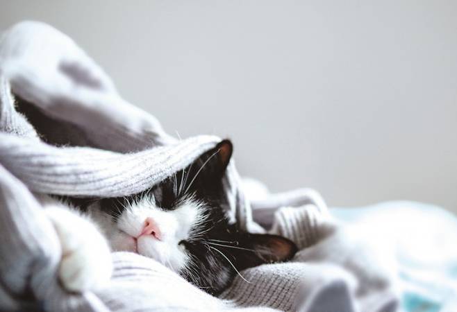 게티이미지뱅크 제공