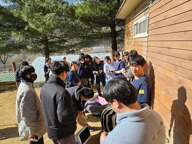 전국 동물원 수의사들이 청주동물원에 모여 접근이 어려웠던 얼룩말 진료로 머리를 맞대고 있는 모습. 청주동물원 제공