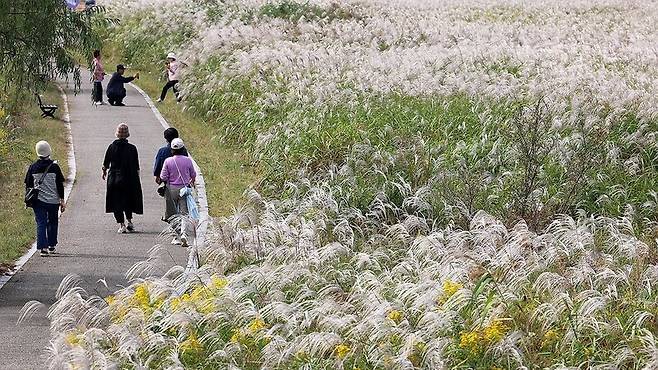 가을 나들이/사진=연합뉴스