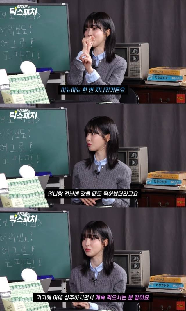 BJ 과즙세연 / 유튜브 채널 '노빠꾸 탁재훈' 영상 캡처