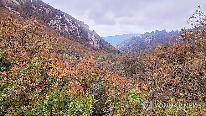 가을옷으로 갈아입는 한계령 [연합뉴스 자료사진]