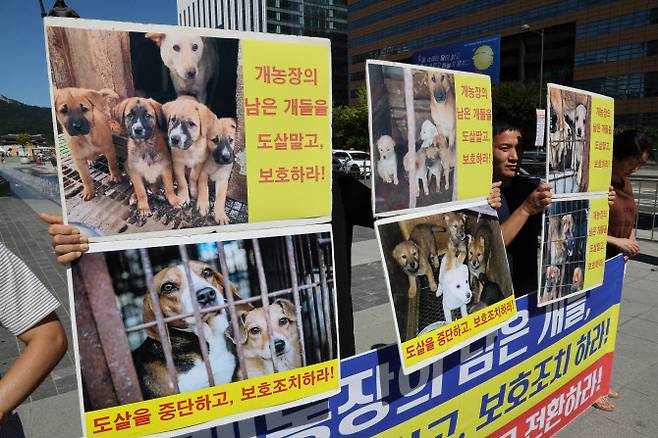 한국동물보호연합 회원들이 지난 9월 23일 오후 서울 종로구 세종대로사거리 인근에서 개농장의 남은 개들을 도살말고, 보호하라 기자회견을 하고 있다.(사진=뉴시스)