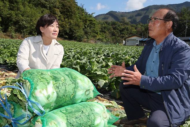 송미령 농림축산식품부 장관이 지난 9일 충북 단양에 위치한 배추밭을 찾아 10월 중하순 출하될 배추 생육상황과 출하 동향을 점검하고 있다. /농림축산식품부 제공