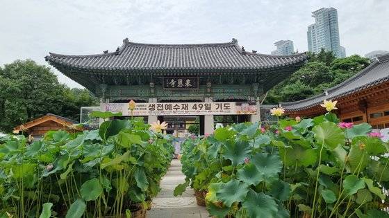 한국을 찾는 대만 관광객의 결제 순위 1위인 서울 봉은사 입구. 중앙포토