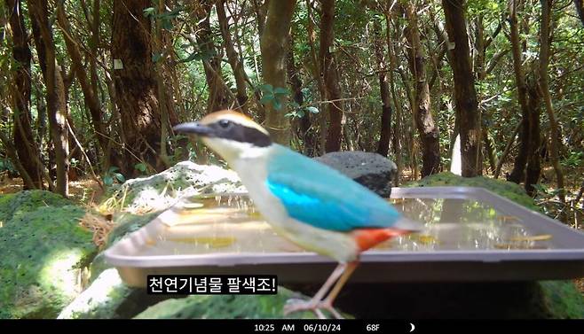 산에 물그릇을 두면 생기는일