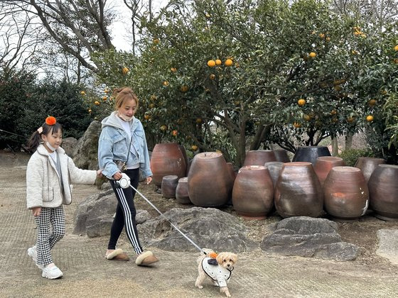 제주도의 관광지인 서귀포시 남원읍 휴애리를 찾은 반려견과 가족. 제주도와 제주관광공사는 반려동물 동반 가능 관광지 정보를 제공하는 '혼저 옵서개' 서비스를 하고 있다. 최충일 기자