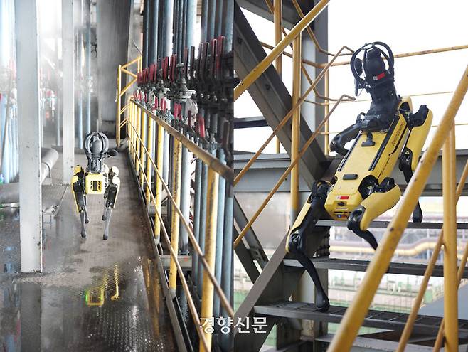 포스코 포항제철소 내 3파이넥스(FINEX) 공장에서 근무 중인 4족 보행로봇(로봇개)이 수증기로 시야 확보가 어려운 공간에서 설비 점검을 위해 이동하고 있다(왼쪽 사진). 로봇개는 계단을 오르내리며 작업장을 이동하기도 한다. 이진주 기자