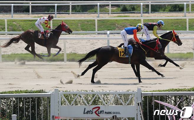 신종코로나 바이러스 감염증(코로나19)으로 중단되었던 경마가 4개월 만에 재개된 21일 오전 경기 과천 렛츠런파크에서 무관중으로 경마가 진행되고 있다. 2020.6.21/뉴스1 ⓒ News1 송원영 기자