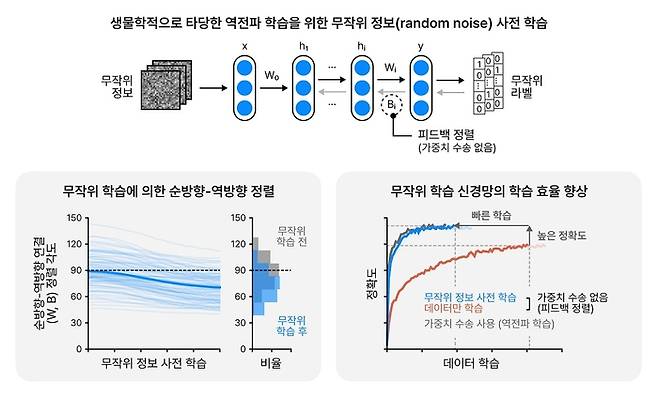 무작위 정보 훈련의 방법과 그 효과를 모사하는 그림