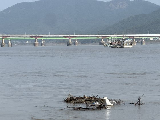 인천시 강화군 더리미포구에서 바라 본 한강 하구. 천권필 기자