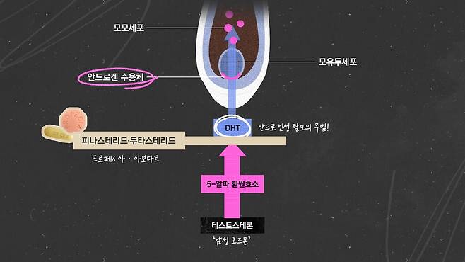 그래픽 신다은.
