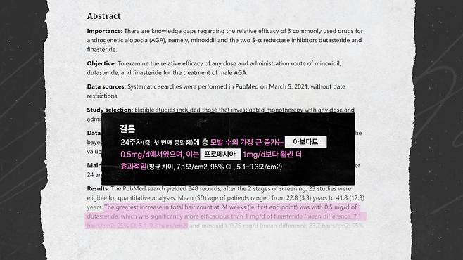 그래픽 신다은.