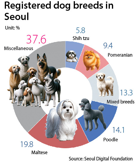 Registered dog breeds in Seoul [YOO YOUNG-RAE]