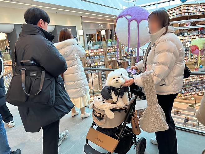 A visitor pushes a dog stroller through Starfield Suwon shopping mall in Gyeonggi on Jan. 24. [SEO JI-EUN]