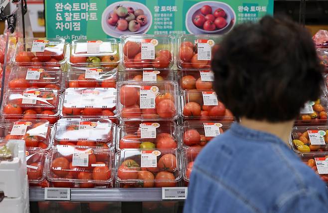 20일 오전 서울 시내 한 대형마트에 토마토가 진열돼 있다. [연합]