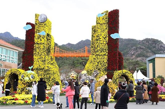 지난해 국화축제 [영암군 제공·재판매 및 DB 금지]