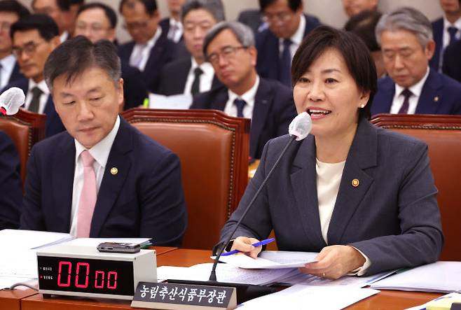 송미령 농림축산식품부 장관(사진=연합뉴스)