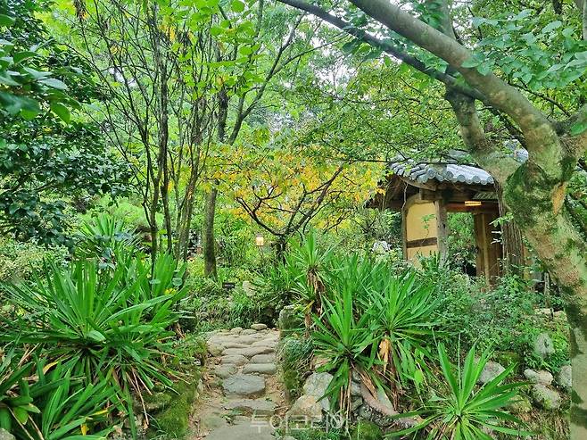 전남 구례 쌍산재/사진-산림청