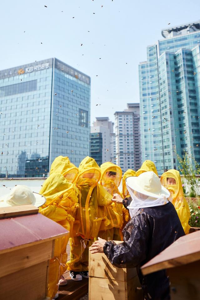 KB금융그룹 직원 가족들이 서울 여의도 KB국민은행 본관 옥상에 설치된 ‘케이비(K-Bee)’ 도시 양봉장에서 벌 키우기 체험 활동을 하고 있다. KB금융그룹 제공