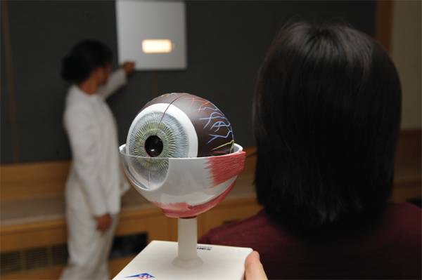 시력 검사 과정 및 안구 모형 ⓒ연세세브란스병원 제공