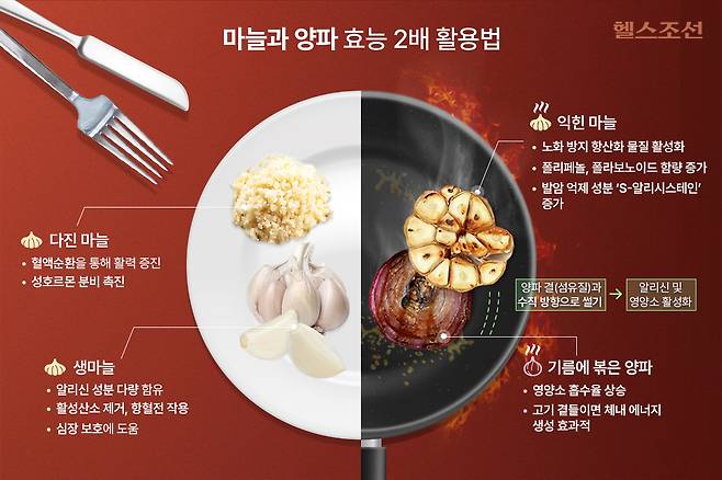 마늘과 양파를 어떻게 조리하고 먹느냐에 따라 몸에 흡수되는 영양소가 달라질 수 있다./그래픽=김민선