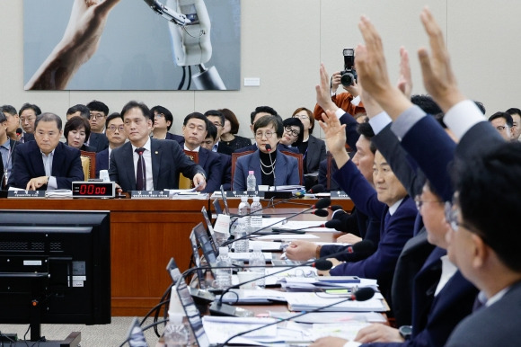 “김태규 고발 찬성” 손 든 野 - 국회 과학기술정보방송통신위원회의 24일 방송통신위원회 국정감사에서 “××, 사람을 죽이네 죽여”라고 발언한 김태규 방통위원장 직무대행을 국회 모욕죄로 고발하는 거수 표결이 진행되는 가운데 더불어민주당 의원들이 손을 들어 찬성하고 있다. 뉴스1